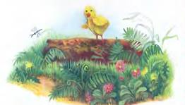 Цыплёнок - Елена Михаленко