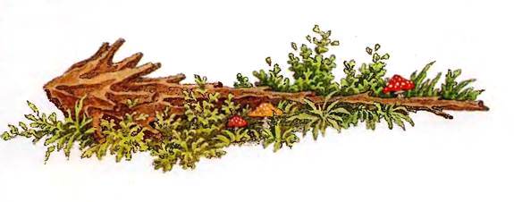 Цыган и чудовище