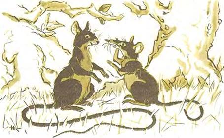 Тибетская сказка. Хвастливые мыши