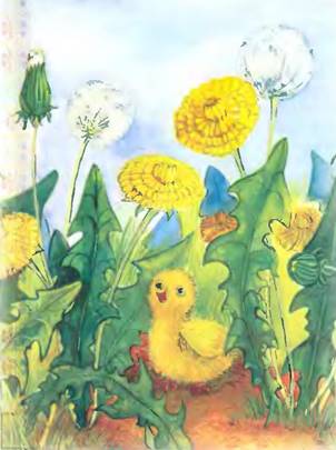 Цыплёнок - Елена Михаленко