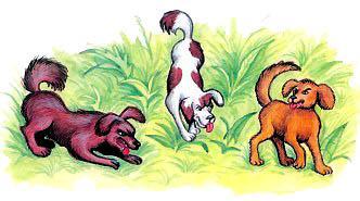 Прохожие и Собаки