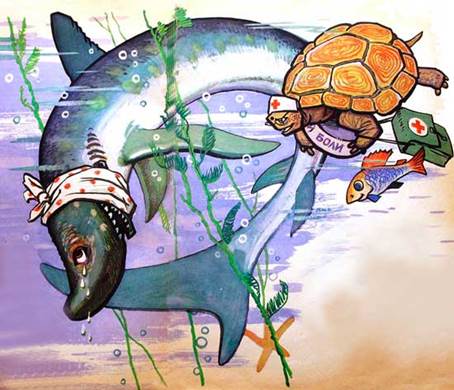 Зуб акулы. Э. Островская