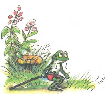 Упрямый лягушонок. Михалков С.В.