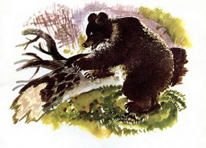 Карельская сказка. Медведь-дровосек