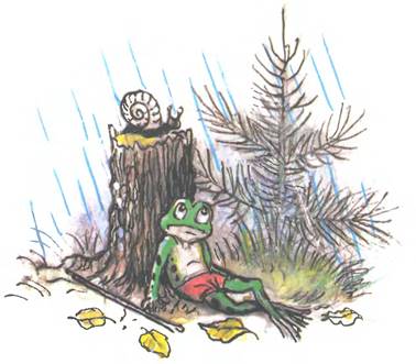 Упрямый лягушонок. Михалков С.В.