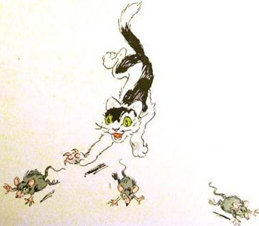 Что кошка о себе вообразила