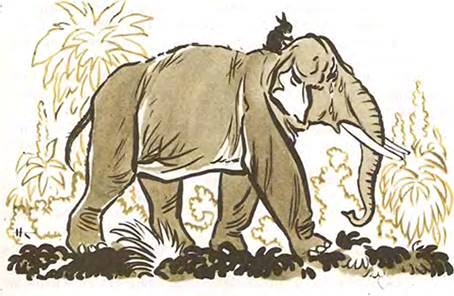 Вьетнамская сказка. Кролик напугал тигра