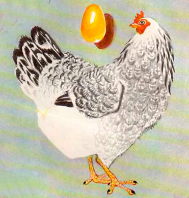 Курочка Ряба.