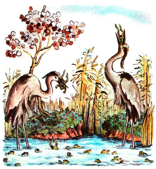 Телефон. А потом позвонили цапли