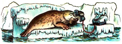 Телефон. То тюлень позвонит