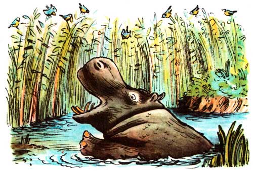 Телефон. Он утонет, утонет в болоте