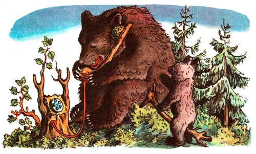 Телефон. А потом позвонил медведь