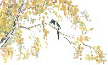 Русская народная сказка о животных. Как коза избушку построила