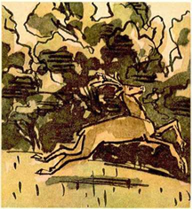 Робин Гуд и лесники. Баллады о Робин Гуде