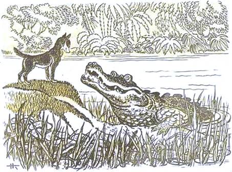Индийская сказка. Сказка о шакале и крокодиле