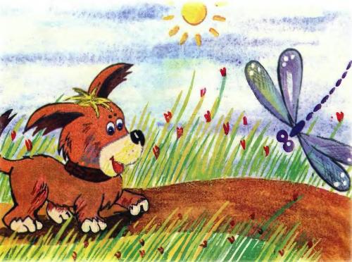 Кот и пес - 11