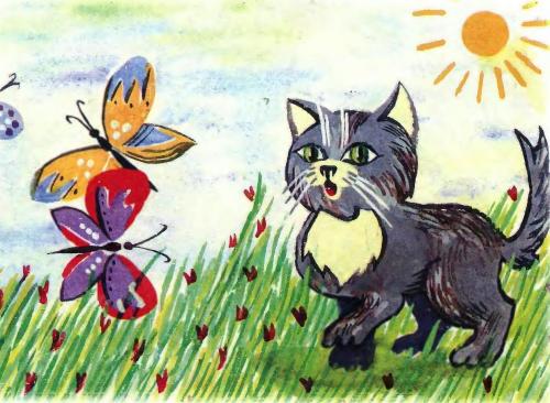 Кот и пес - 11