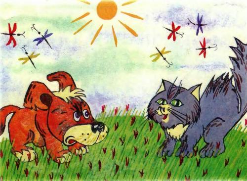 Кот и пес - 11