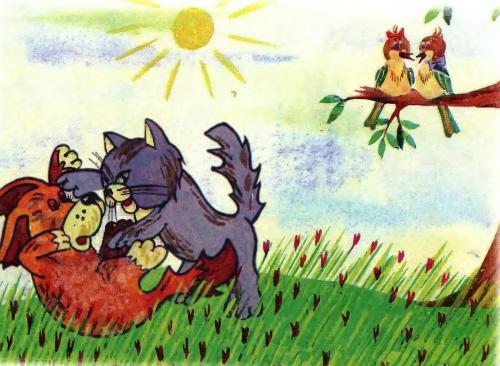 Кот и пес - 11