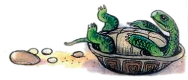 Сказка о перевернутой черепахе. Михаил Пляцковский