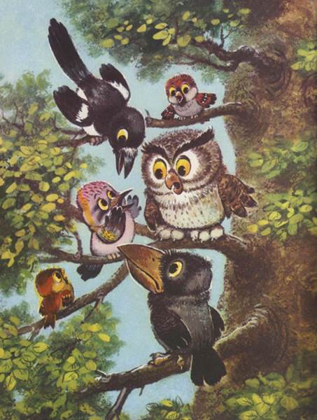 Отчего галка черная