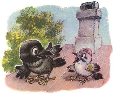 Отчего галка черная. Михаил Пляцковский