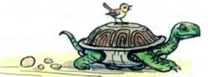 Сказка о перевернутой черепахе