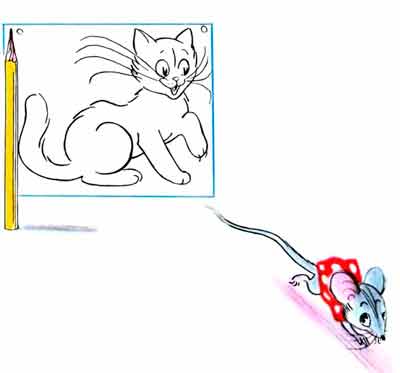 Да это настоящая кошка!