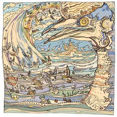 Отчего у казуара синяя голова