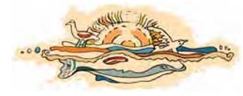 Австралийская сказка. Отчего у казуара синяя голова