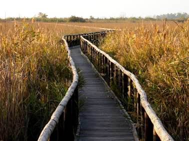 Скорый гонец. Русские народные сказки