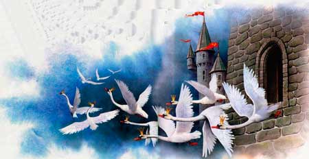 Они превратились в одиннадцать прекрасных диких лебедей