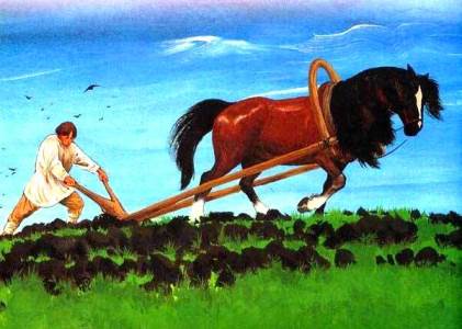 Где богатство зарыто?