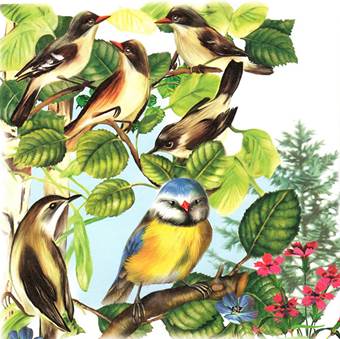 Синичкин календарь. Июль. Виталий Бианки