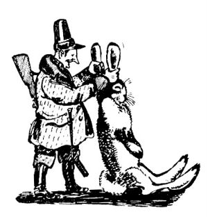 Заячье сало