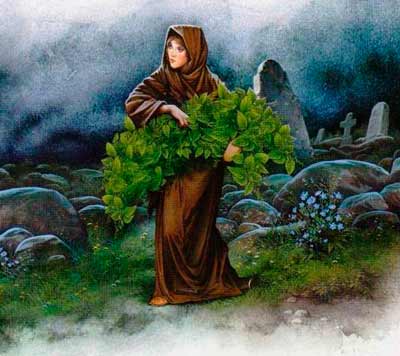 Набрала крапивы и вернулась домой