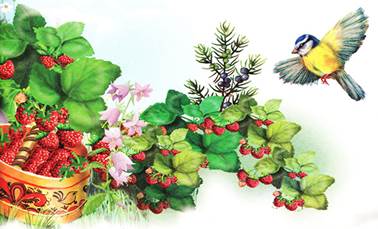 Синичкин календарь Июль