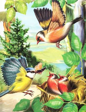 Синичкин календарь. Июль. Виталий Бианки