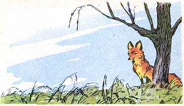 Лесные песенки. Иван Шутов