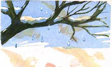 Лесные песенки. Иван Шутов