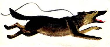 Сказка о ленивой девочке Маше. Прокофьева С. Cказки для самых маленьких