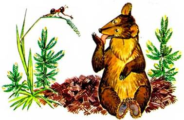 Про медведя. - Сергей Баруздин