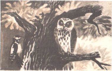 Ленивая сова