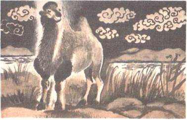 Как верблюд стал некрасивым