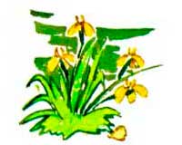 Сапоги. - Сергей Баруздин