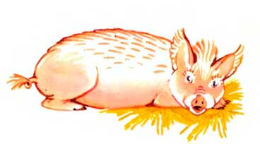 Черный поросенок. - Сергей Баруздин