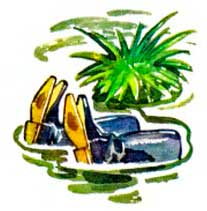 Сапоги. - Сергей Баруздин