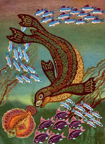 Нерпа и камбала-звездчатка