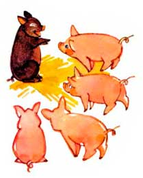 Черный поросенок. - Сергей Баруздин