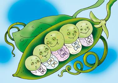 Пятеро из одного стручка. Сказки Андерсена